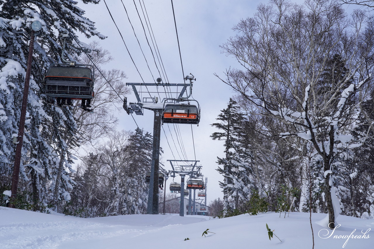 札幌国際スキー場 これぞ北海道。粉雪が降り積もったゲレンデはコンディション良好！そして、早くも全コース滑走可能です(*^^)v